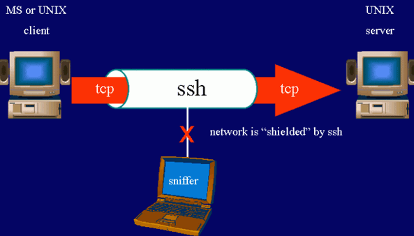 Apa Itu Ssh Fungsi Manfaat Dan Cara Kerja Ssh 