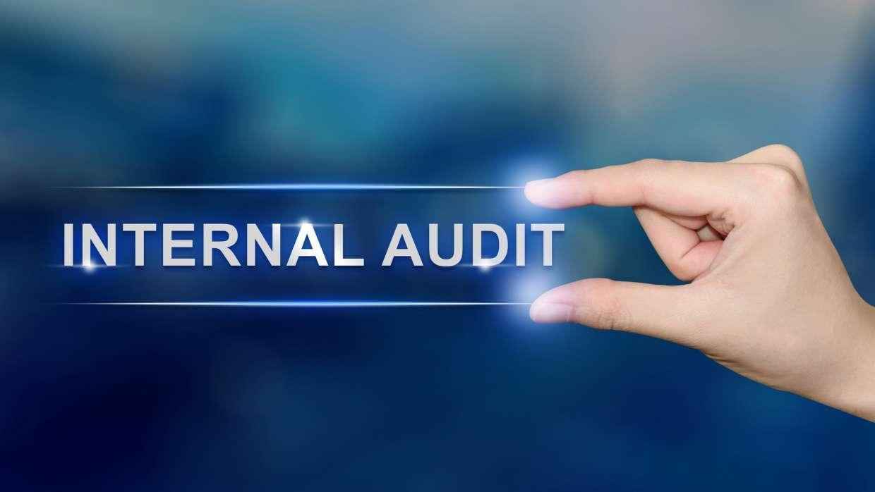 Apa Itu Internal Audit Fungsi Tujuan Dan Langkah Melakukannya