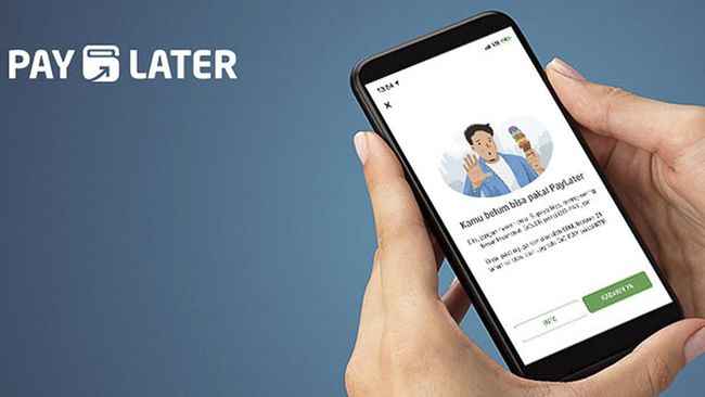 Paylater : Pengertian, Metode Dan Dampak Penggunaannya